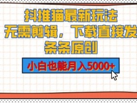小说推文收益时间多久结算，平台规则与优化建议