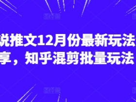 小说推文营销号玩法解析，从选书到制作的详细操作分享