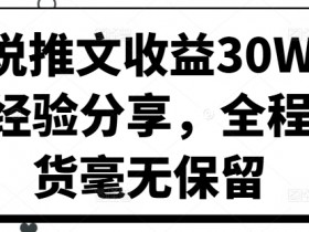 小说推文一天赚500的真实案例，短视频内容制作全揭秘