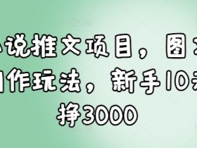 小说推文收益如何快速提高，用爆款视频吸引更多流量