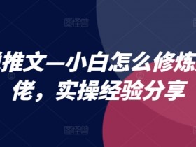 小说推文项目是骗局吗，收益数据与真实案例详解