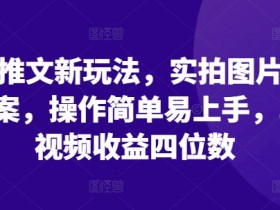 小说推文项目是骗局吗，收益数据与真实案例详解