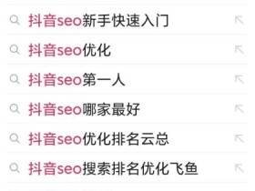 抖音SEO算法变化对优化的影响，最新规则下的优化策略