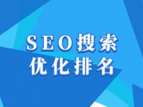 抖音SEO搜索引流成功案例，从内容制作到关键词布局的完整复盘
