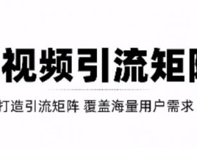 抖音SEO搜索引流成功案例，从内容制作到关键词布局的完整复盘