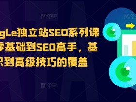 抖音SEO搜索引流成功案例，从内容制作到关键词布局的完整复盘