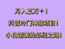 100+抖音营销案例总结，从0到爆款的推广经验分享
