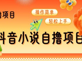 如何用抖音营销工具提升视频曝光率，精准推广的技巧