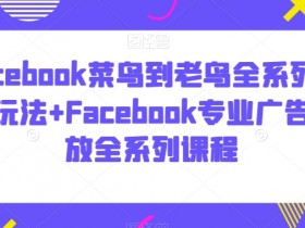 Facebook海外用户增长攻略，品牌如何抢占国际市场？