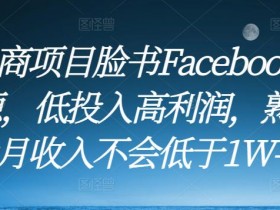 Facebook海外用户增长攻略，品牌如何抢占国际市场？