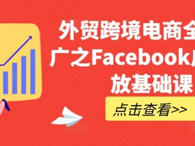 Facebook海外用户增长攻略，品牌如何抢占国际市场？