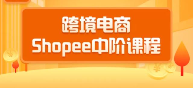 迪拜跨境电商客户分析市场需求，了解迪拜市场的电商需求