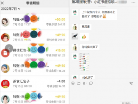 小红书虚拟资料项目从0到月入1万，全流程教学