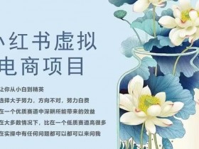 如何搭建小红书虚拟资料系统，技术全攻略