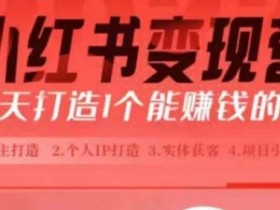 小红书矩阵推广的最佳方法是什么，批量发布+精准引流指南