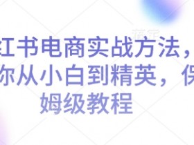 小红书矩阵运营实操教程，图文引流的全自动化玩法解析