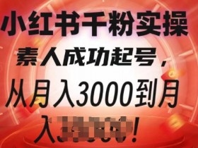 如何用小红书图文矩阵引流，详细策略与实操方法揭秘