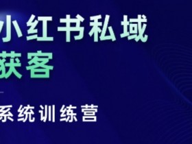 如何高效运营小红书矩阵账号，批量化引流的实操方法