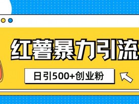 如何用小红书矩阵引流创业粉，日引精准客户200+玩法揭秘