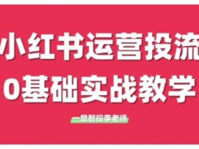 如何用小红书矩阵引流创业粉，日引精准客户200+玩法揭秘