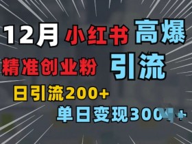 如何用小红书矩阵引流创业粉，日引精准客户200+玩法揭秘