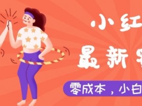 小红书矩阵推广避坑指南，不违规日增精准流量的秘诀