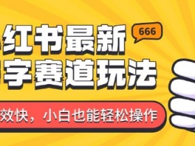 小红书矩阵推广避坑指南，不违规日增精准流量的秘诀