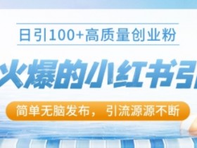 小红书矩阵推广避坑指南，不违规日增精准流量的秘诀