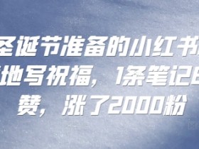 小红书矩阵推广避坑指南，不违规日增精准流量的秘诀