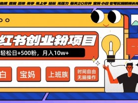 小红书旅游类目怎么赚钱，冷门赛道从推广到变现的流程