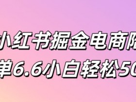 蓝海赛道怎么玩，小红书掘金流量与变现的实操详解