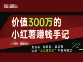 蓝海赛道怎么玩，小红书掘金流量与变现的实操详解