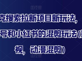 小红书掘金虚拟项目全解析，从零开始的日入四位数操作