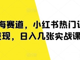 蓝海赛道怎么玩，小红书掘金流量与变现的实操详解