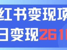 小红书掘金虚拟项目全解析，从零开始的日入四位数操作