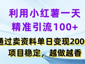 小红书掘金虚拟项目全解析，从零开始的日入四位数操作