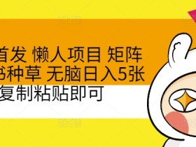 小红书掘金虚拟项目全解析，从零开始的日入四位数操作