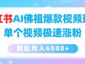 如何通过小红书掘金赚钱，冷门赛道的实战案例分享