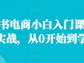 小红书掘金虚拟资源项目靠谱吗，低风险高收益的实战经验