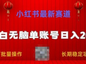 如何快速上手小红书掘金虚拟项目，新手必看的入门教程