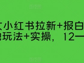 小红书短剧如何快速变现，无成本高收益的搬砖模式解析
