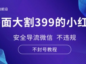 小红书短剧如何快速变现，无成本高收益的搬砖模式解析