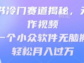 小红书短剧项目怎么赚钱，月入1万+的蓝海操作教学