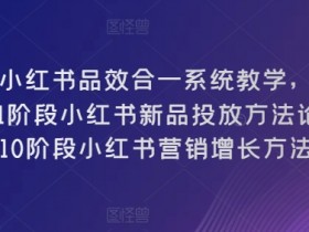 小红书短剧项目怎么赚钱，月入1万+的蓝海操作教学