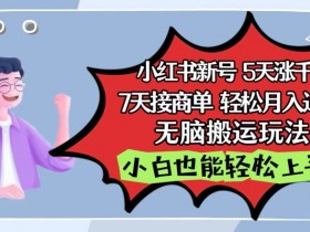 小红书短剧简介怎么写，吸引流量的高转化文案模板分享