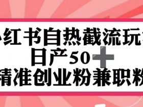 小红书短剧简介怎么写，吸引流量的高转化文案模板分享
