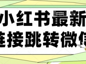 如何在小红书做带货笔记，实战技巧与盈利案例分享