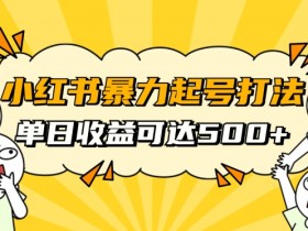 小红书引流推广有哪些技巧，从内容创作到流量获取的全流程