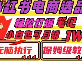 小红书精准引流技巧合集，让你的笔记轻松涨粉带货