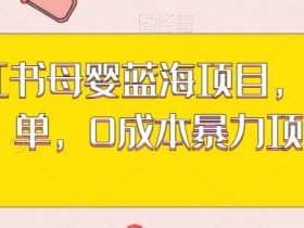 如何利用小红书笔记做引流推广，最佳策略与操作技巧